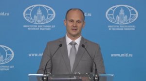 Брифинг А.Настасьина, Москва, 31 июля 2024 года