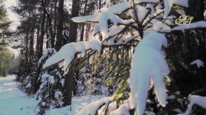 ЗАГАДОЧНЫЙ НЕПОЗНАННЫЙ ЗВЕРЬ, да и зверь ли это был! Встреча в глухой зимней тайге!