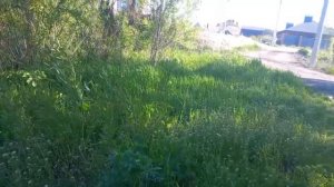 Застройка водоохранной зоны реки Усманка в Новоусманском районе Воронежской области.