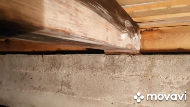 Таблетки хлора для обработки подполья от грибка. Измерение влажности Влагомером  балок подполья
