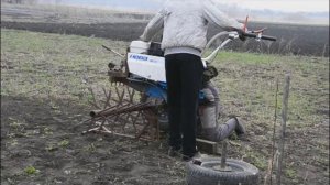 Боронование огорода,борона игольчатая,активная!