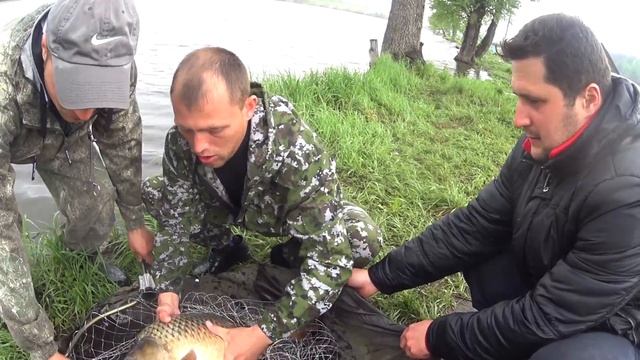 Рыбалка в Воронеже на ОГРОМНОГО карпа смотреть онлайн