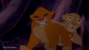 Симба рычит
