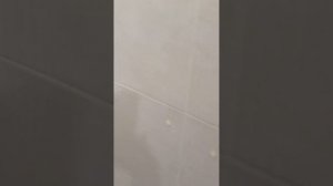 Sanfor против известкового налёта