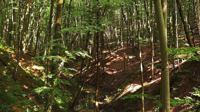 Doc Fl - Зелёная ми смотреть онлайн