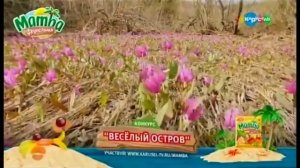 Карусель плашка Мамбы  "Веселый остров" (2019)