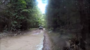 Avantis Hunter New, для взрослых- весело,  для юных - интересно! Или наоборот?)))