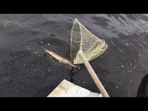 ВСТРЕЧА ДВУХ КАНАЛОВ \ Часть 3 \ РЫБАЛКА С ВЕТРОМ