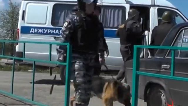 Учения в Верхней Салде, 20 мая 2015 смотреть онлайн