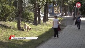 Фирма "Лайт Групп" будет заниматься гуманным отловом бездомных животных в Улан-Удэ