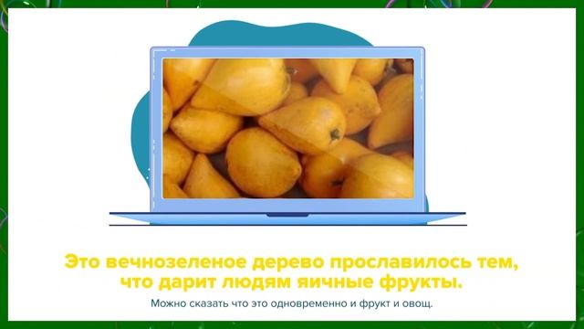 Необычные фрукты и овощи   № 2