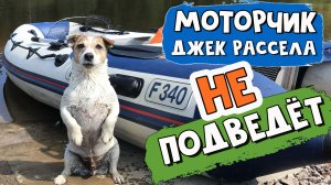 У лодки сломался мотор. Подключили ДЖЕК РАССЕЛ ТЕРЬЕРА. Рыбалка с собакой