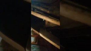 Установка противотуманок на Лада Х Рей