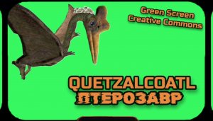 ПТЕРОЗАВР хромакей футаж на зелёном фоне. Видео анимация GREEN SCREEN.