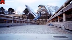 Дикая природа Японии | Прекрасная Япония |