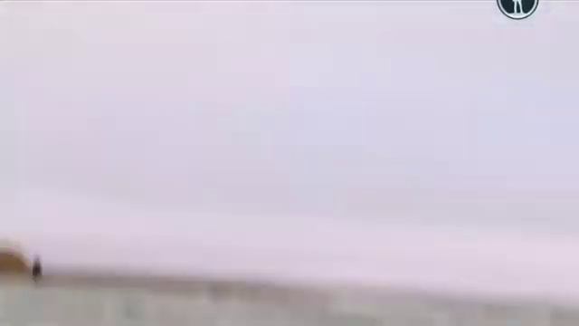 03  Новосибирские острова  Загадки земли мамонта