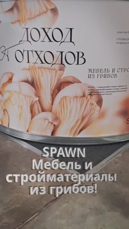 SPAWN мебель и стройматериалы из грибов. ЦветыЭкспо #цветыэкспо #flowersexpo #цветы #flowers #крокус