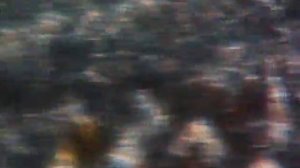 Костиоз. Болезни аквариумных рыбок