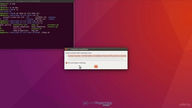 JAVA 8 -Install and Configure IntelliJ FREE and PAID version for Ubuntu Linux смотреть онлайн