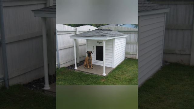 Повесть "Наша любимая собака Айка". Глава 2. Читает автор смотреть онлайн