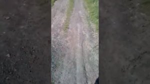 Яшкино Кемеровская область