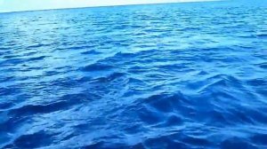 Рыбалка на Нельму и Щуку! Река Обь! Ямал