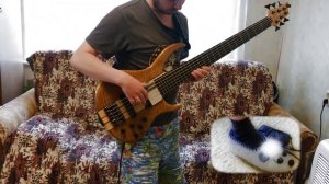 Саморазвитие на карантине. Учим соло "Воля и разум".