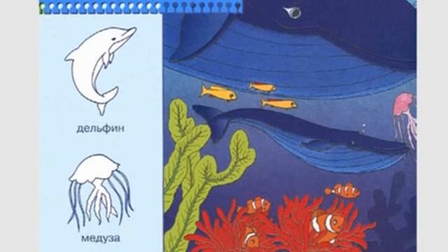 Кто где живет. Онлайн детский сад. Урок. смотреть онлайн