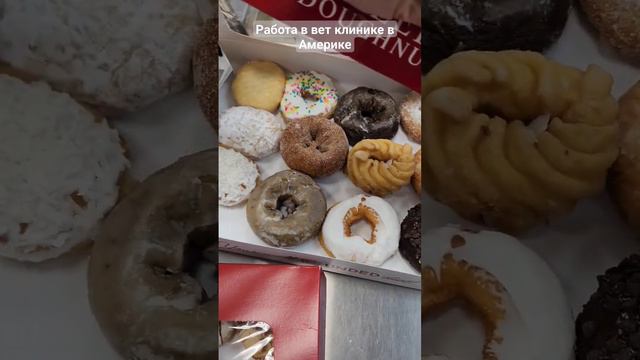 Моя работа в Америке#жизнь в сша смотреть онлайн