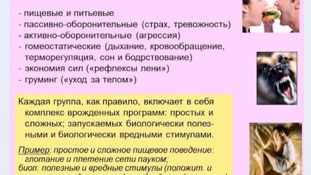 Как раскрывают свой потенциал чемпионы. Старость - не болезнь, но лекарства есть. Часть вторая. смотреть онлайн