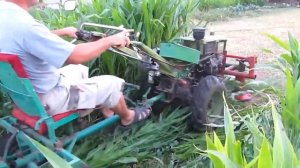 Мотоблок косить кукурузу. Мотоблок зубр 12 л.с. Смотреть всем.