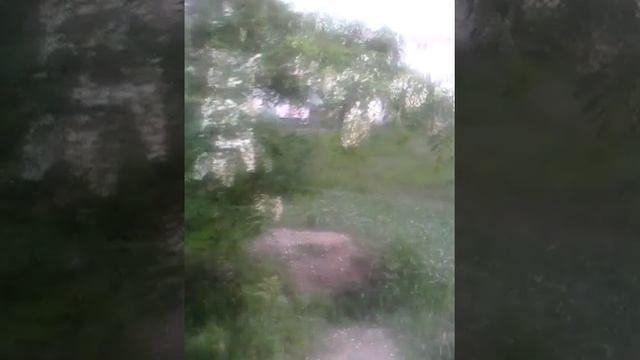 Ментос+Кола=Взрывная реакция (У нас получилось) смотреть онлайн