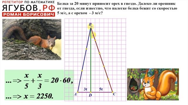 #200 БЕЛКА С ОРЕХАМИ // ОРЕШНИК смотреть онлайн