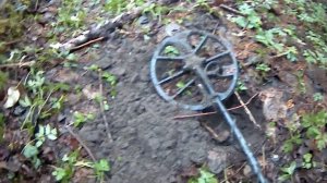 лесной коп,нашел селуху