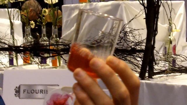 Canada Blooms - Youtube Gardening - Andrew Evans and Samuel Greenfield Feat. смотреть онлайн