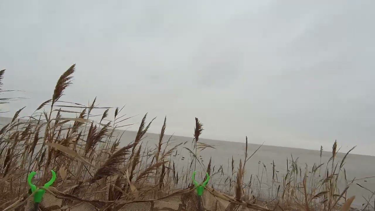 Охота на море смотреть онлайн