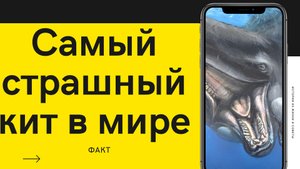 Самый страшный кит в мире?