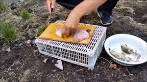 филе карасей совсем без костей