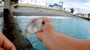 РОКФИШИНГ. ЧЁРНОЕ МОРЕ/Rockfishing. Black sea.