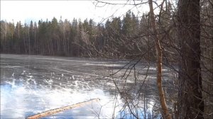 ЧЁРНОЕ ОЗЕРО,Black Lake,Раки