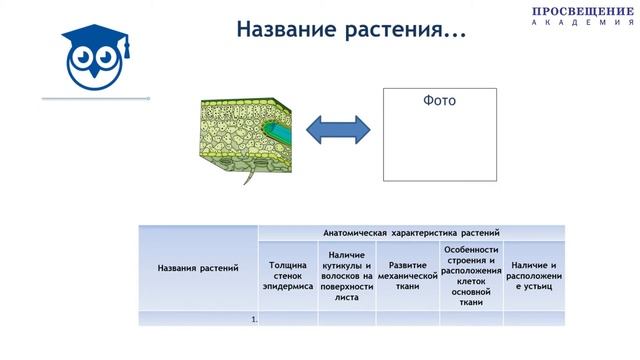 Фрагмент открытого урока № 65. Урок по биологии, часть 2 смотреть онлайн