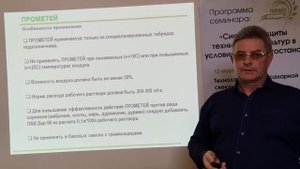 Технология выращивания подсолнечника Сумо