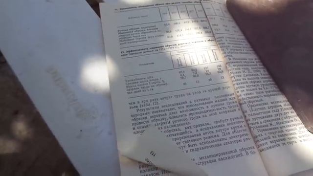 Обрезка персика: всего один совет. И урожай ВСЕГДА. смотреть онлайн