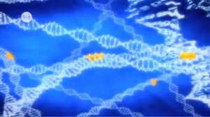 Как ДНК производит белок