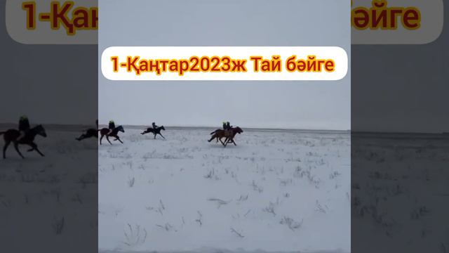1-Қаңтар 2023ж Тай бәйге, 1-Бақыт, Кенен, 2-Жасулан, 3-Сайфулла 4-Жарас смотреть онлайн