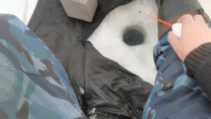 Зимняя рыбалка на Алтае село Клепиково 1 день 02.01.2023