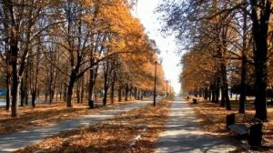 Парк в Артемовске,Донецкой области