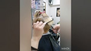Каре на ножке с короткой чёлкой (пошаговое объяснение)
