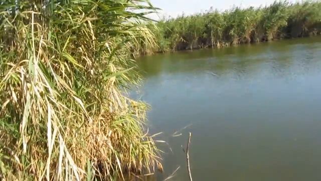 Водозабор. Пляж и озеро Кизыл-Яр за Водозабором - Новофедоровка 31.08.2014 (Гарнизон Саки, Крым) смотреть онлайн