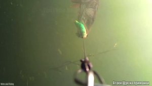 Рыбалка? Самые ЗРЕЛИЩНЫЕ АТАКИ Больших , Гигантских ЩУК на разные приманки? Подводная съёмка